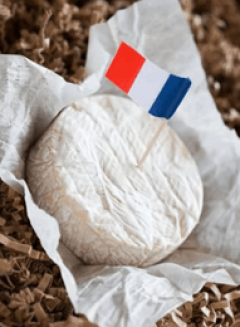 Importing French Cheese | Insights