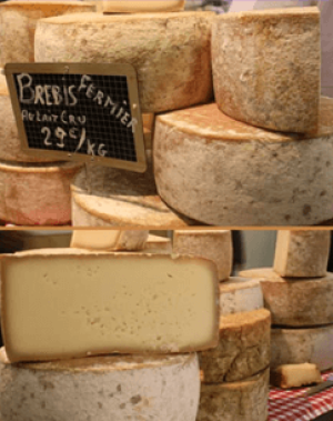 Importing French Cheese | Insights