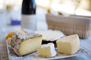 Importing French Cheese | Insights