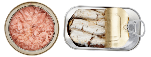 canned fish market