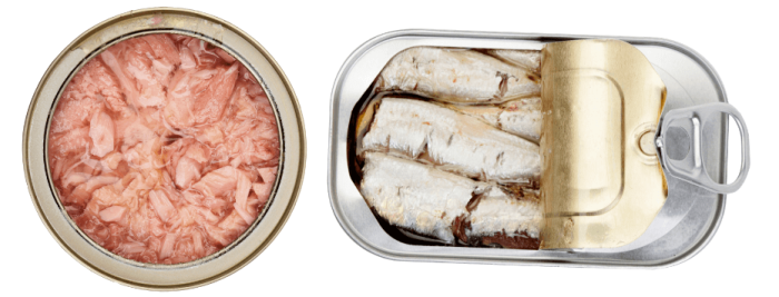 canned fish