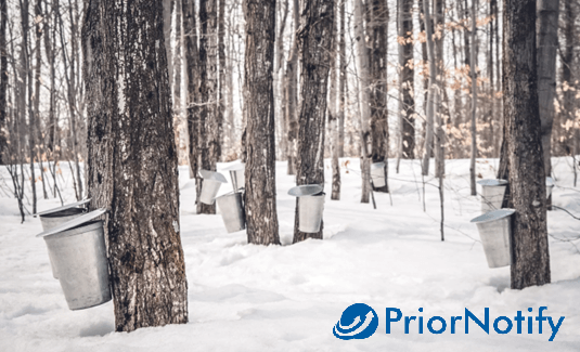 Canadian Maple Syrup Imports to USA